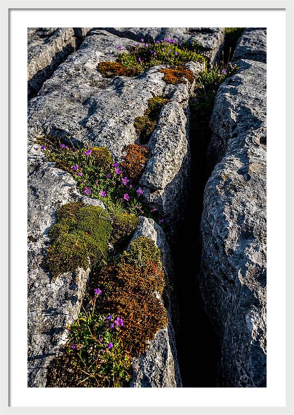 Burren Limestone Beauty