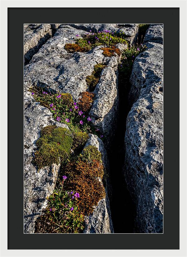 Burren Limestone Beauty