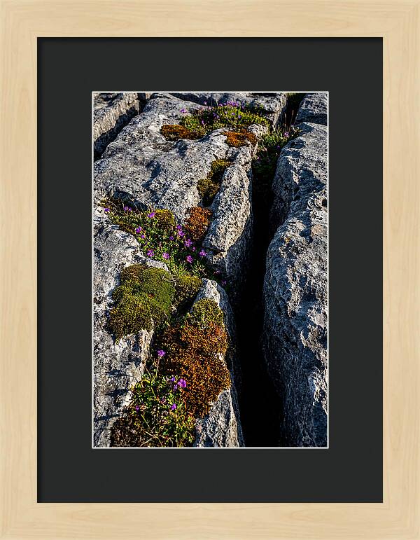 Burren Limestone Beauty