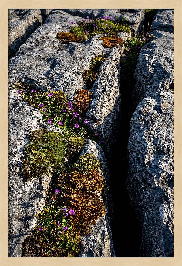 Burren Limestone Beauty