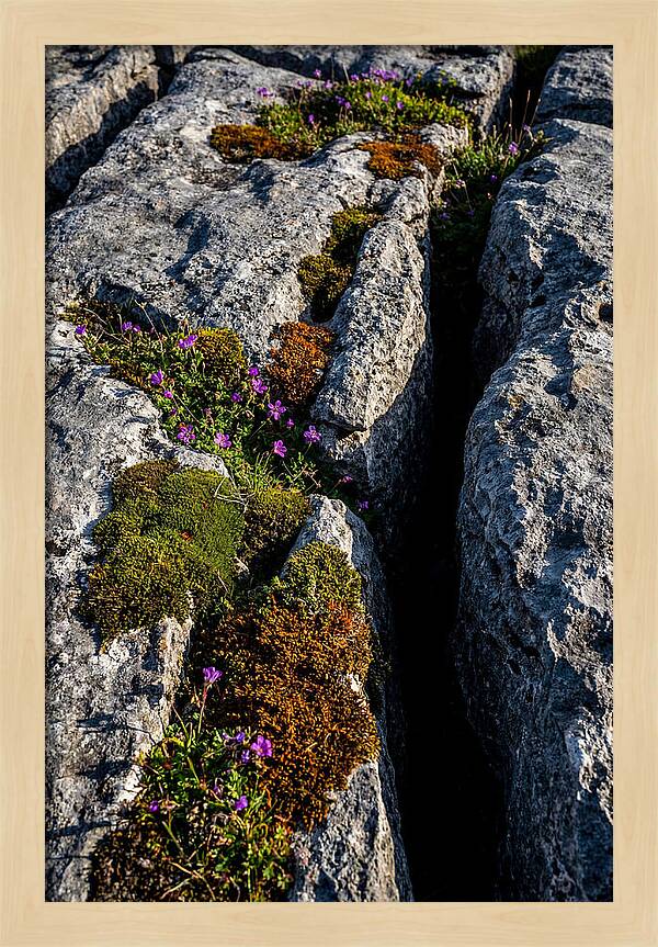 Burren Limestone Beauty