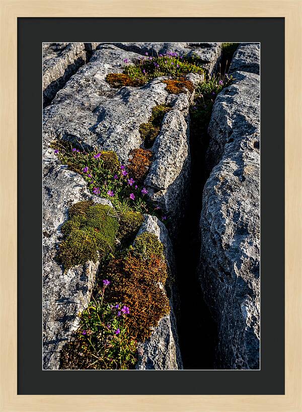 Burren Limestone Beauty