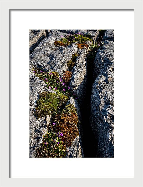Burren Limestone Beauty