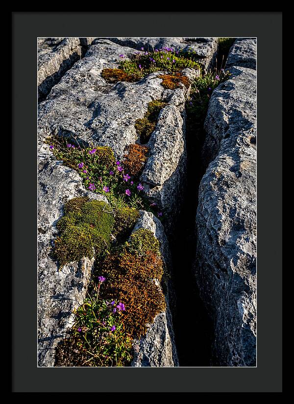 Burren Limestone Beauty