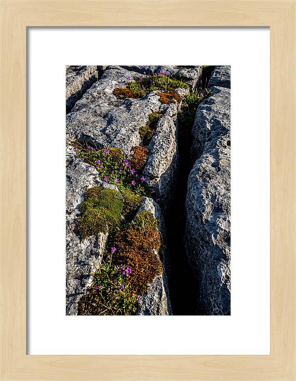 Burren Limestone Beauty
