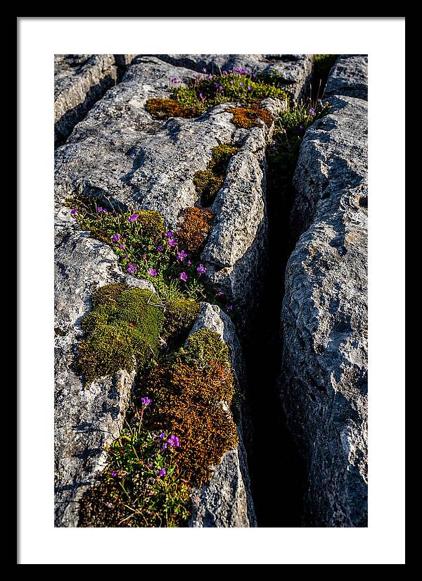 Burren Limestone Beauty