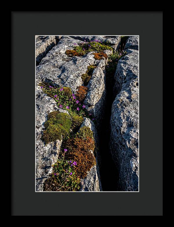 Burren Limestone Beauty