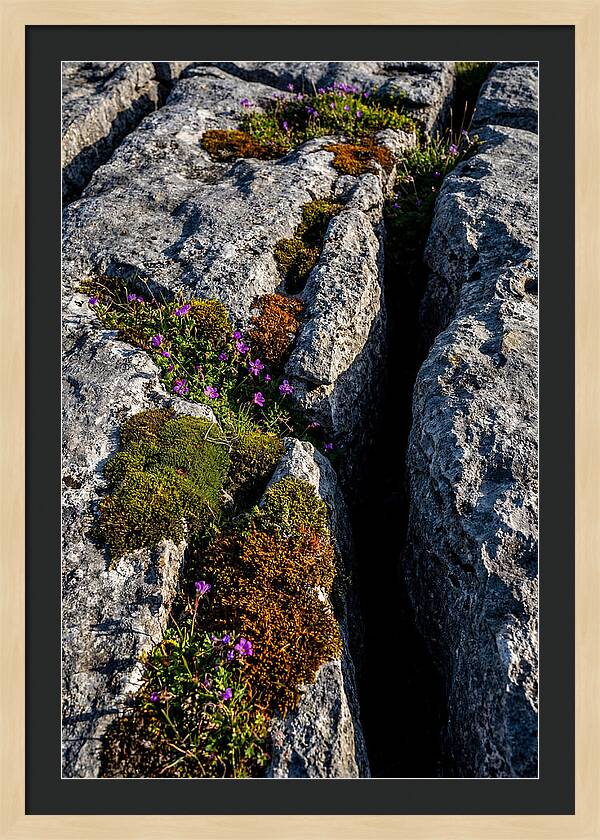 Burren Limestone Beauty