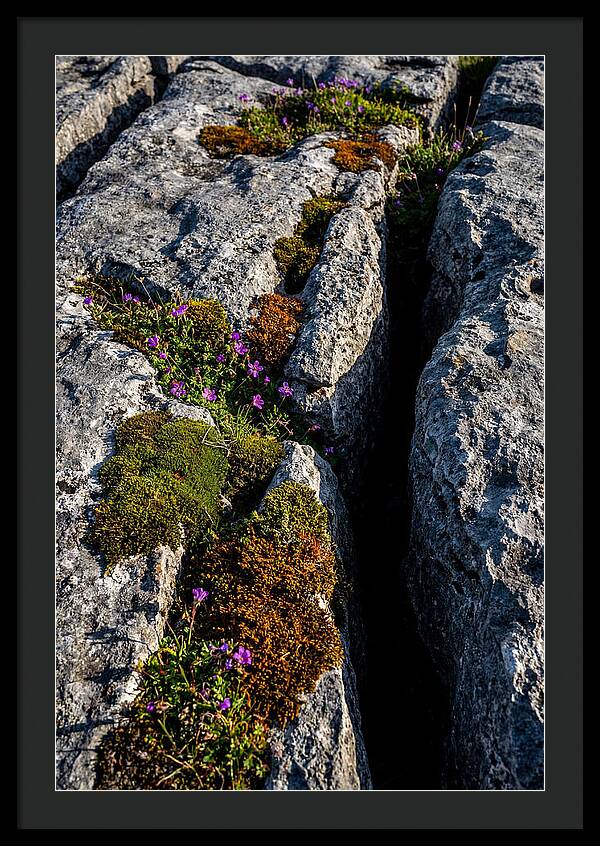 Burren Limestone Beauty
