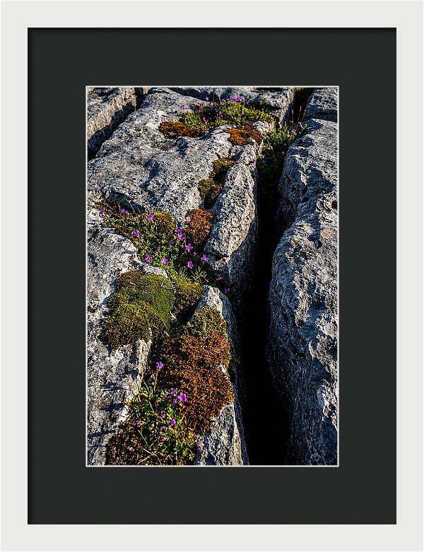 Burren Limestone Beauty