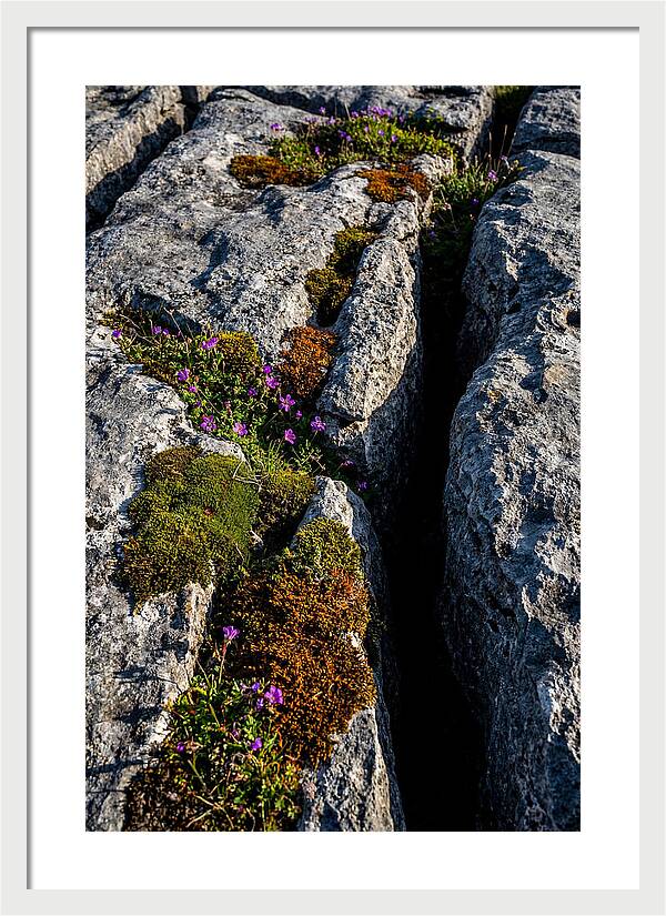 Burren Limestone Beauty