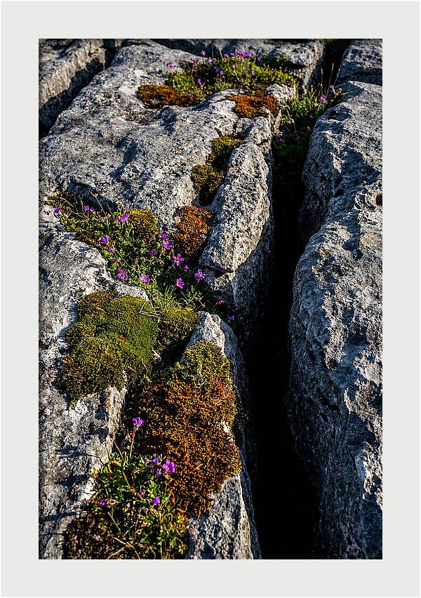 Burren Limestone Beauty