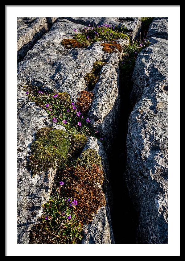Burren Limestone Beauty