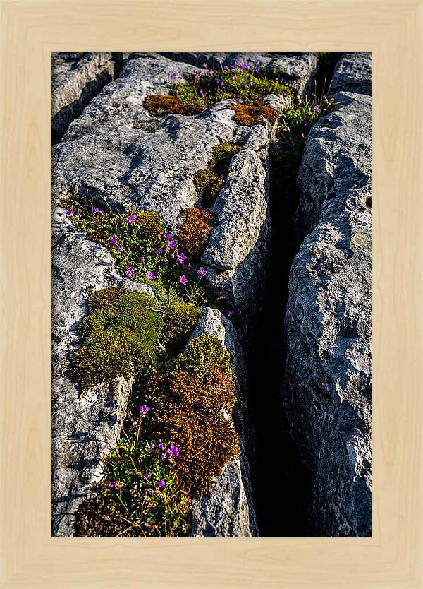 Burren Limestone Beauty