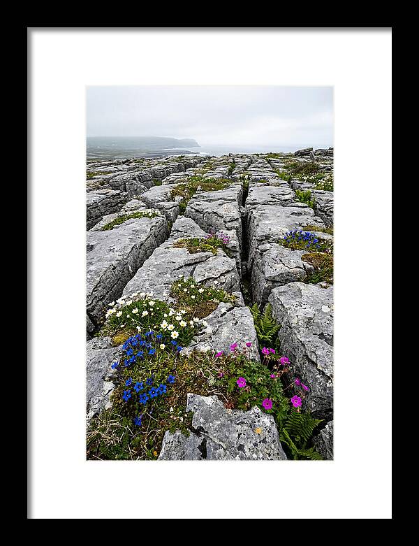 Burren Limestone Landscape