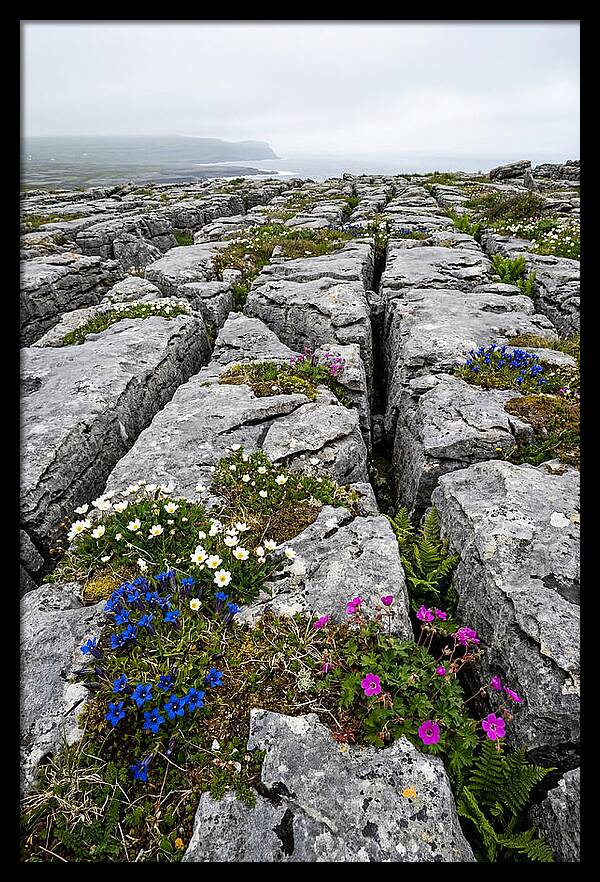 Burren Limestone Landscape