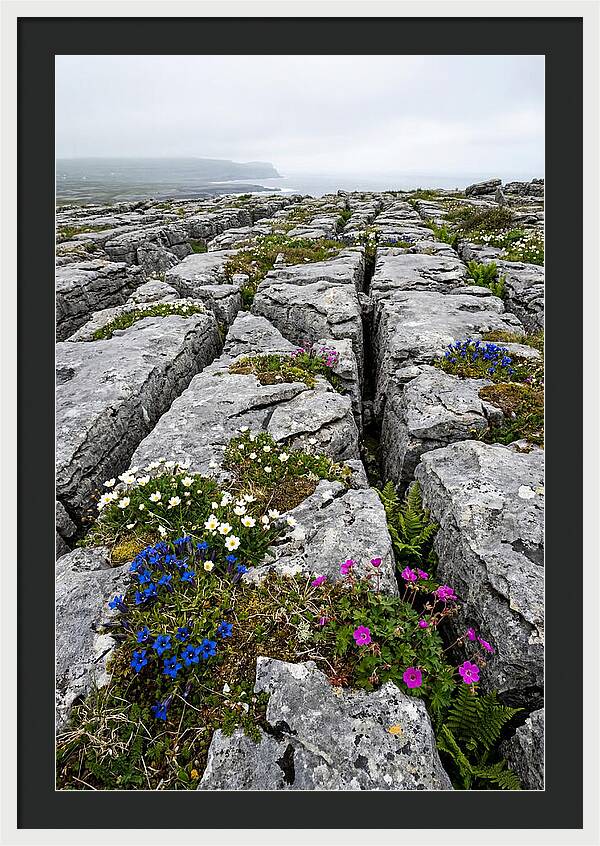 Burren Limestone Landscape