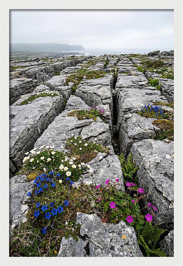 Burren Limestone Landscape