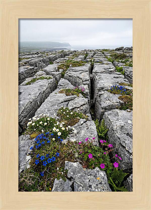 Burren Limestone Landscape