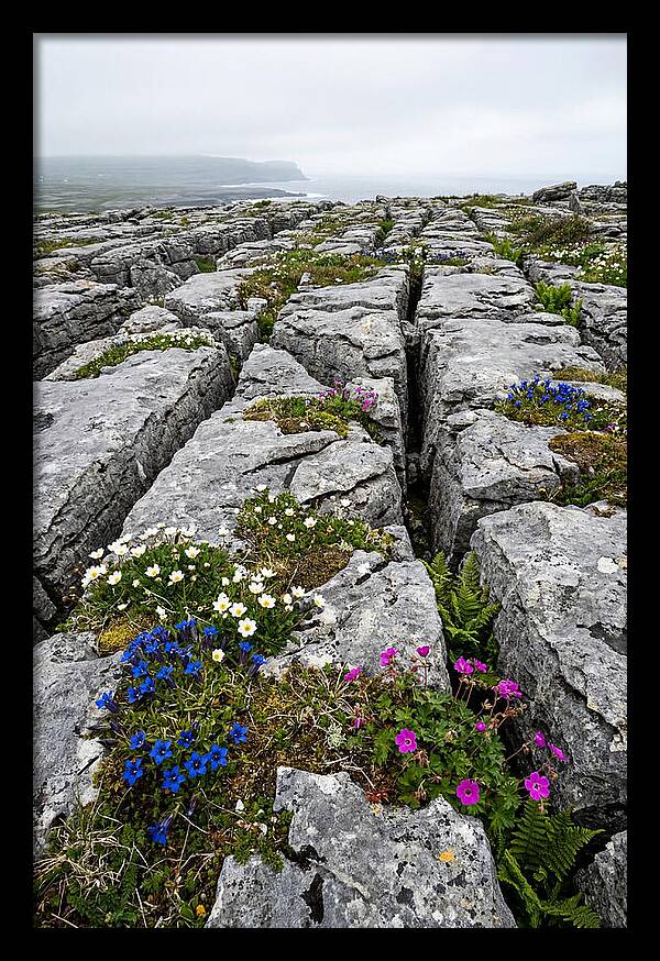 Burren Limestone Landscape