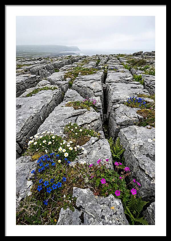 Burren Limestone Landscape