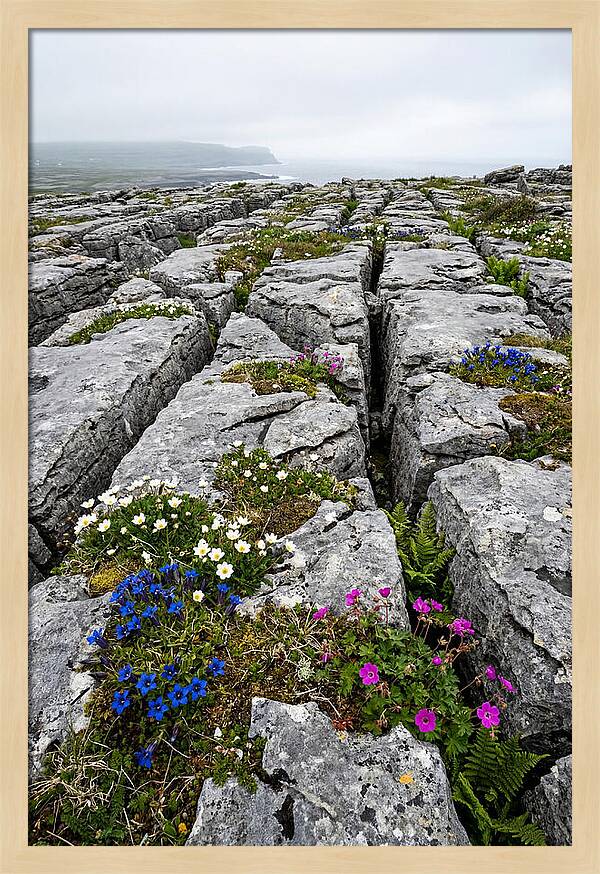 Burren Limestone Landscape