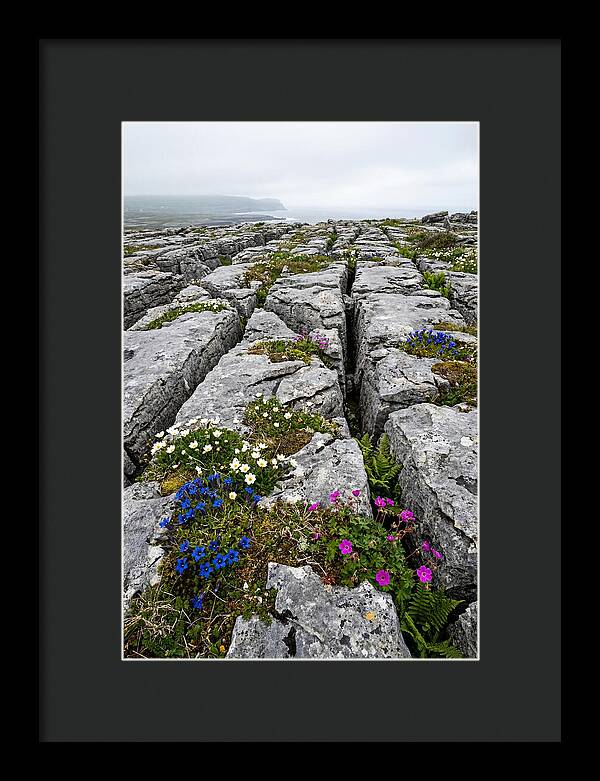 Burren Limestone Landscape