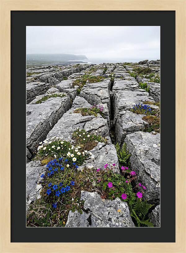 Burren Limestone Landscape