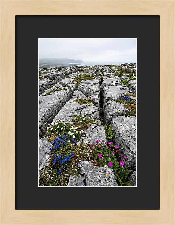 Burren Limestone Landscape