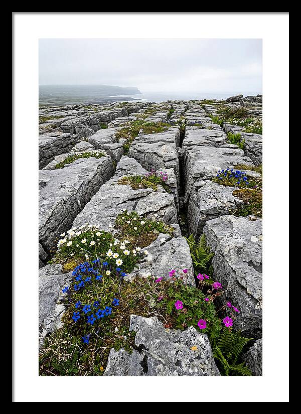 Burren Limestone Landscape