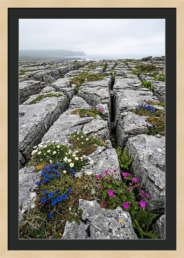 Burren Limestone Landscape