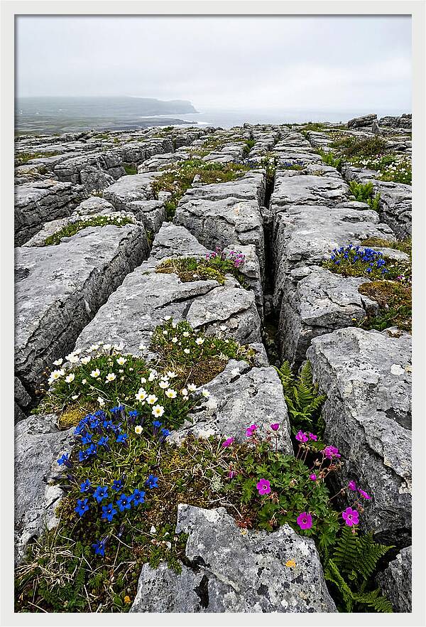 Burren Limestone Landscape