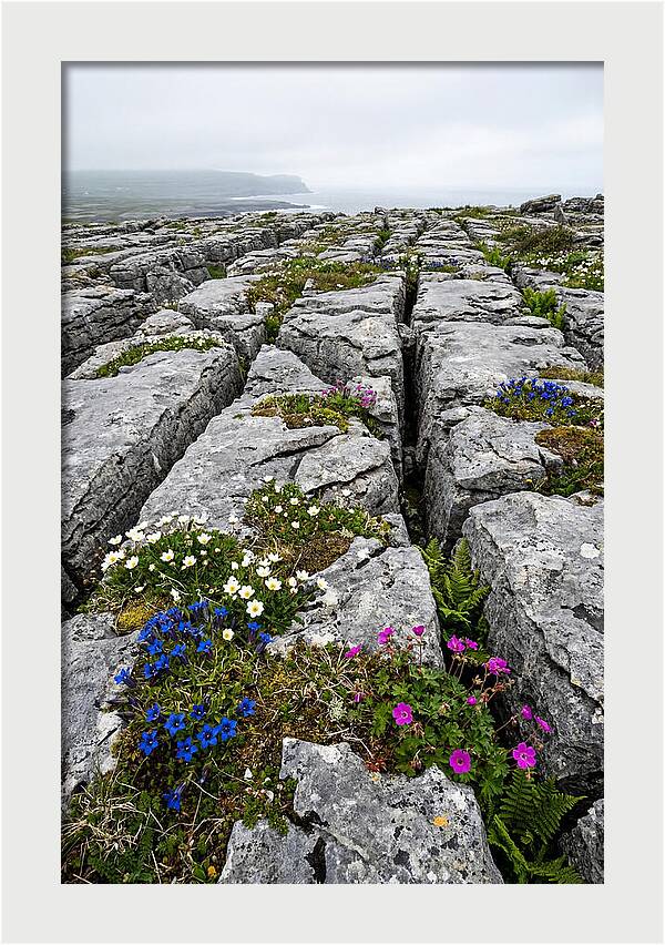 Burren Limestone Landscape