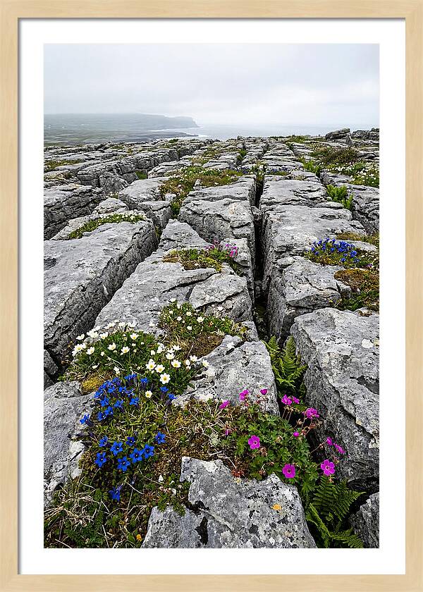 Burren Limestone Landscape