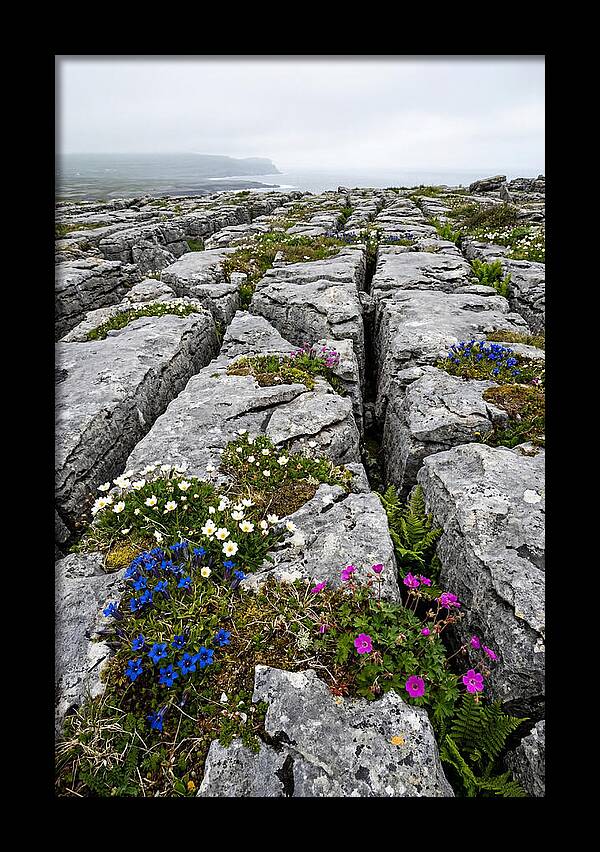 Burren Limestone Landscape