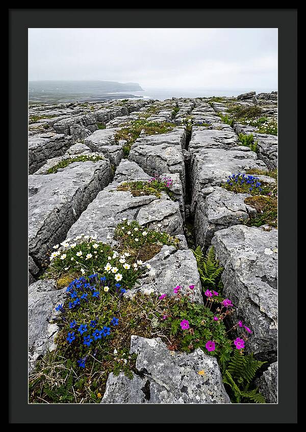 Burren Limestone Landscape