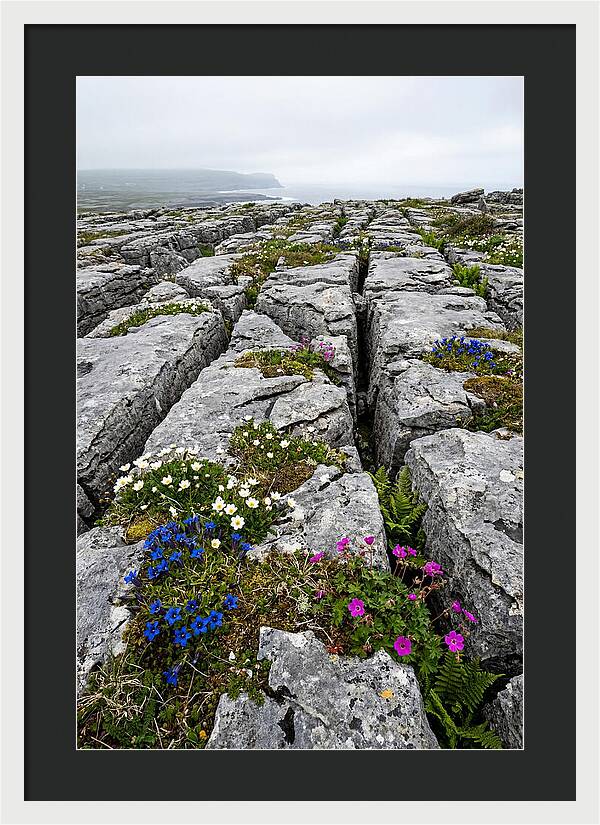 Burren Limestone Landscape