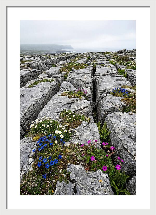 Burren Limestone Landscape