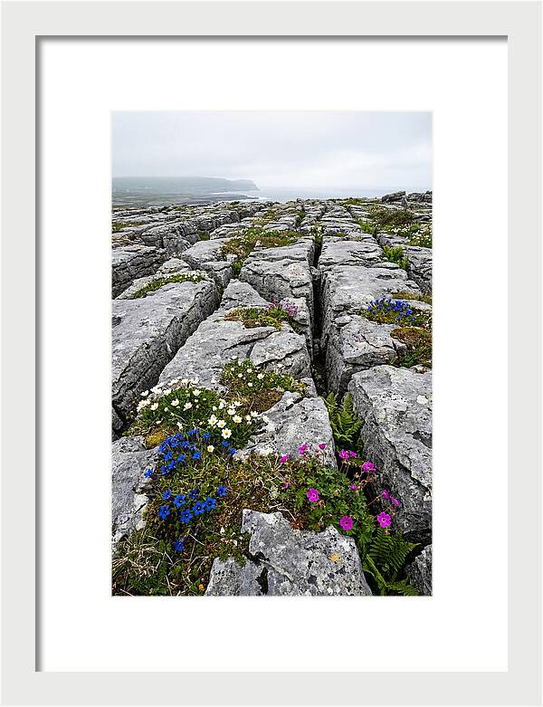 Burren Limestone Landscape