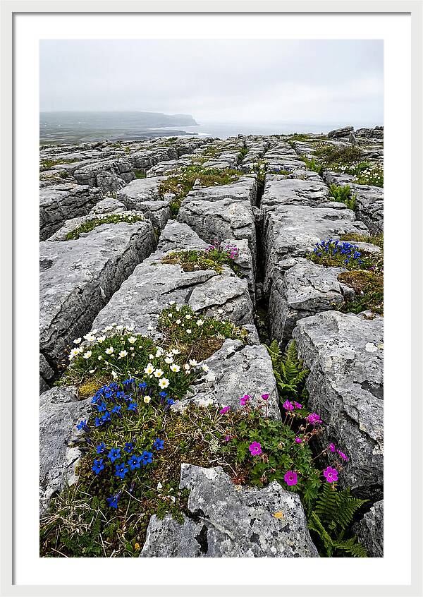 Burren Limestone Landscape