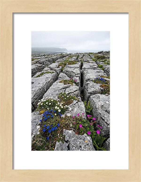 Burren Limestone Landscape