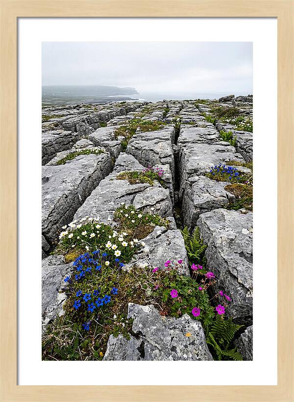 Burren Limestone Landscape