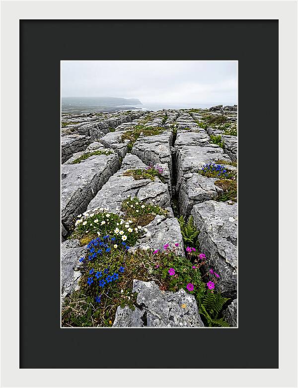 Burren Limestone Landscape
