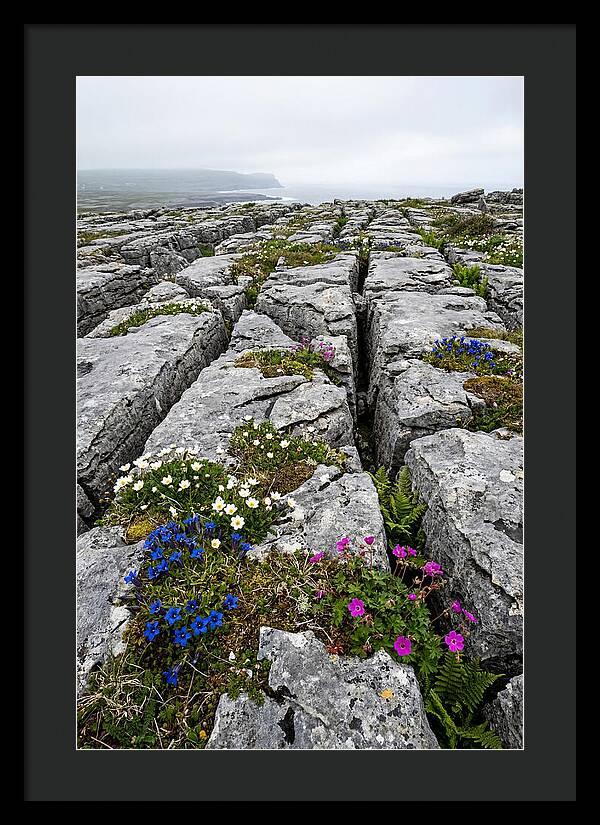 Burren Limestone Landscape
