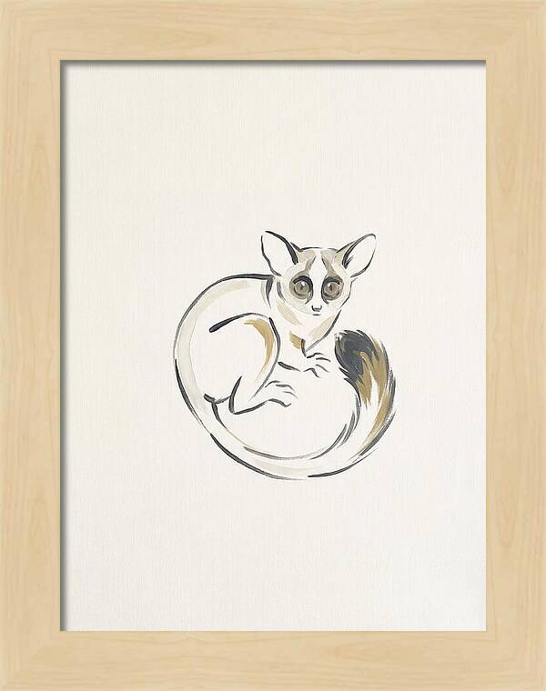 Bushbaby In Minimalist Style