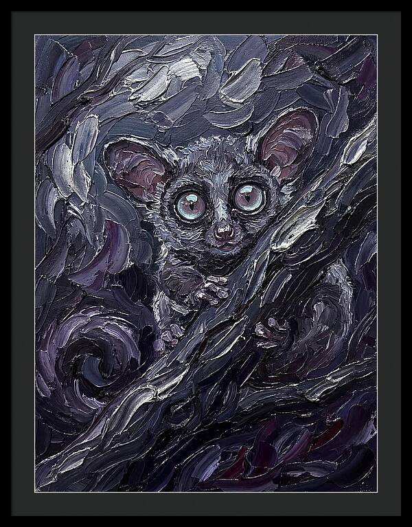 Bushbaby In The Shadows