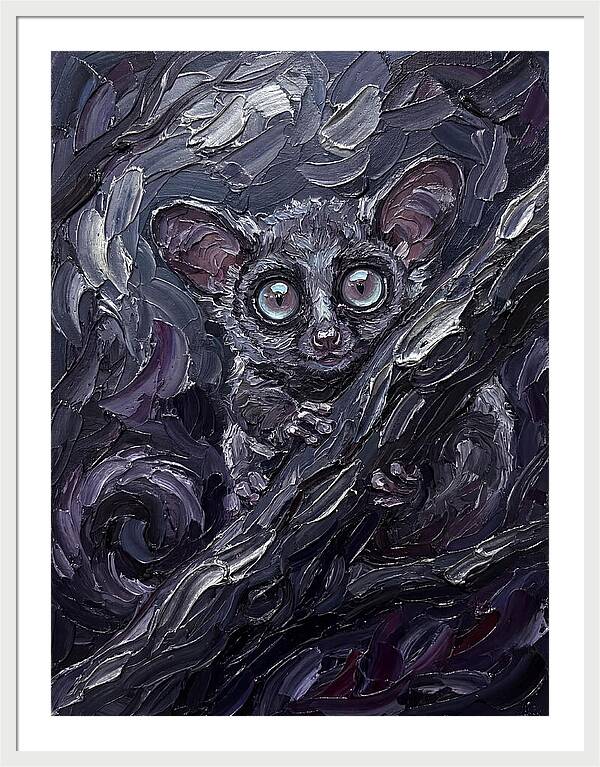 Bushbaby In The Shadows