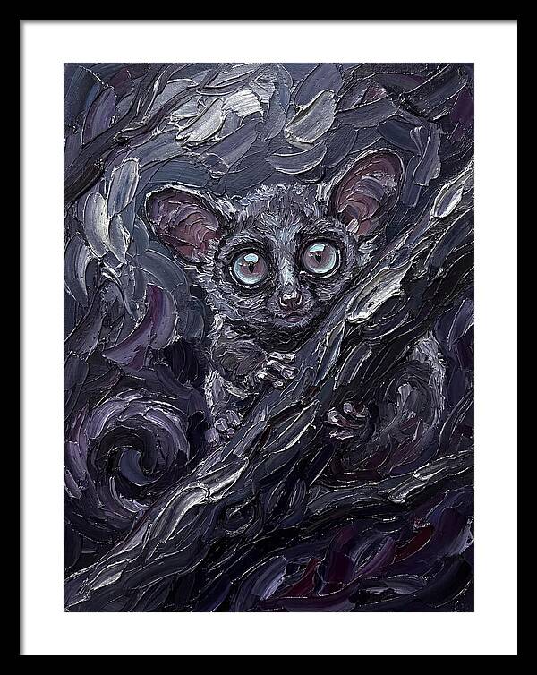 Bushbaby In The Shadows