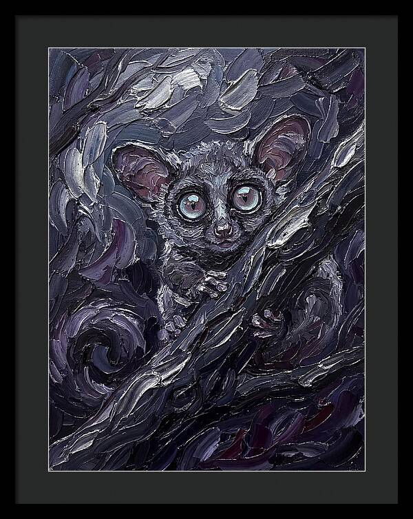 Bushbaby In The Shadows