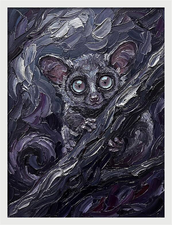 Bushbaby In The Shadows